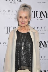 Mary Beth Peil attends the Tony Honors Cocktail Party Presenting The 2017 Tony Honors For Excellence In The Theatre And Honoring The 2017 Special Award Recipients - at Sofitel Hotel on June 5, 2017 in New York City. Credit: Shevett Studios